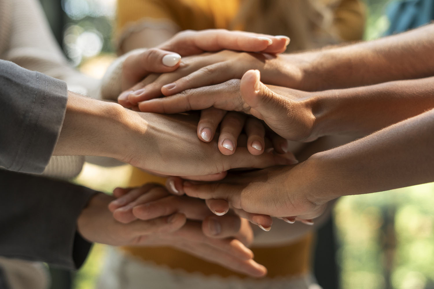 Social Solidarity